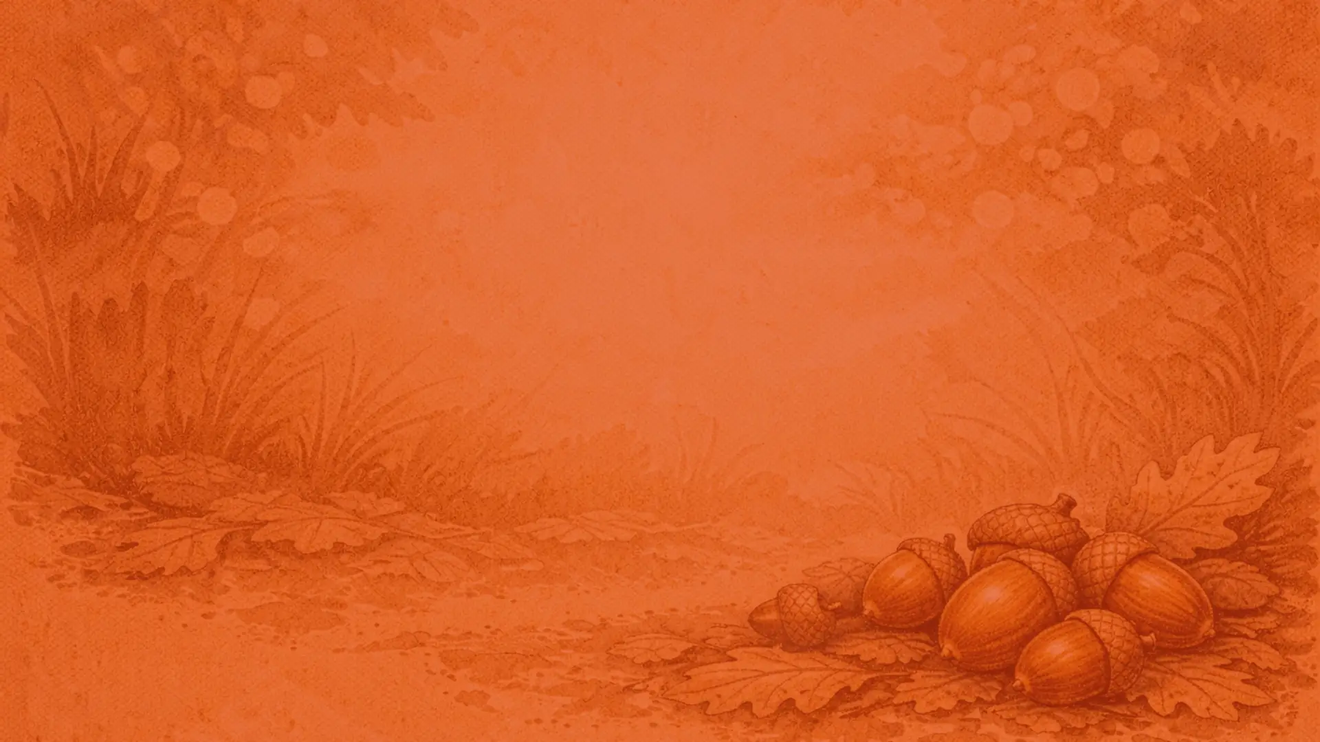 Immagine rappresentativa dell’articolo